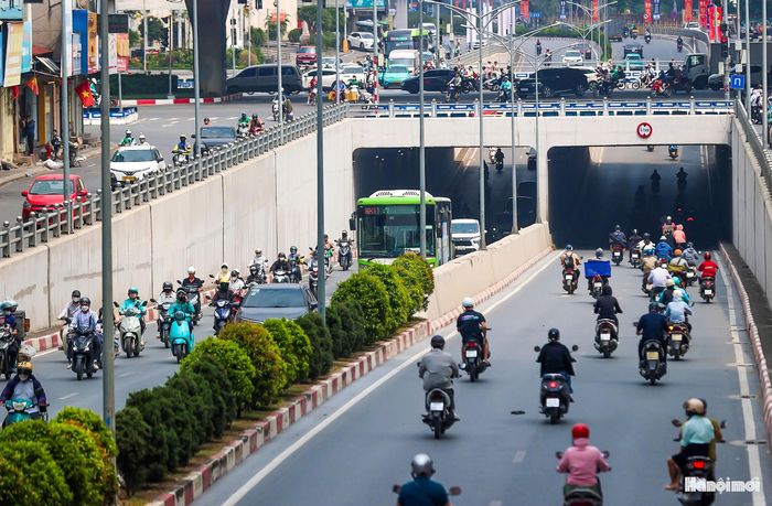 Cây được lựa chọn theo hướng phát triển rủ xuống mặt trong thành hầm, tạo thành dải xanh dọc công trình.