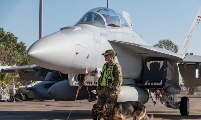 Trong khi đó, máy bay tác chiến điện tử EA-18G Growler tập trung vào một lĩnh vực khác: phổ điện từ.