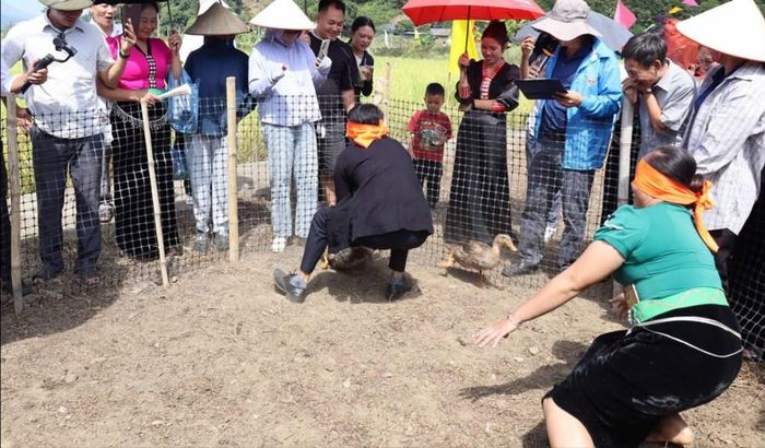 Đến với lễ hội, người dân và du khách được trải nghiệm nhiều hoạt động văn hóa, thể thao dân gian truyền thống mang đậm bản sắc văn hóa dân tộc Thái