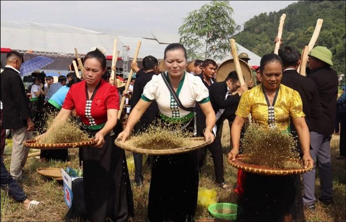 Đến với lễ hội, người dân và du khách được trải nghiệm nhiều hoạt động văn hóa, thể thao dân gian truyền thống mang đậm bản sắc văn hóa dân tộc Thái