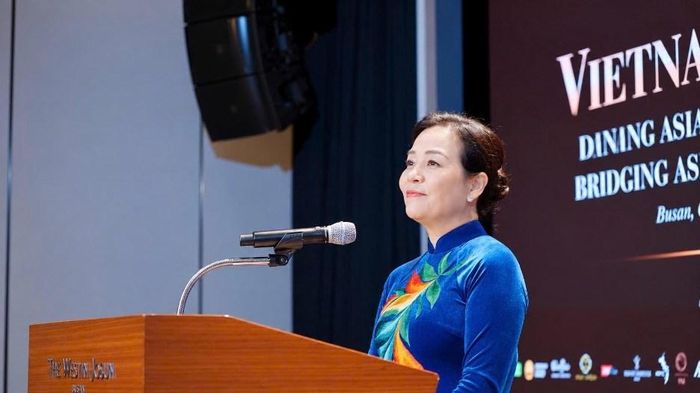 TS. Ngô Phương Lan, Chủ tịch VFDA phát biểu khai mạc Vietnam Night