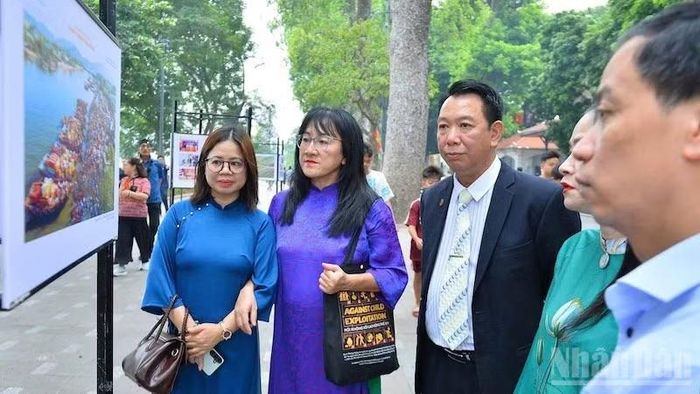 Triển lãm góp thêm một địa chỉ văn hóa-nghệ thuật phục vụ người dân và du khách đến với Hà Nội dịp này.
