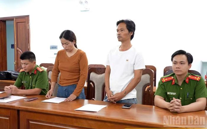 Khởi tố vụ án về tội “Xâm phạm quyền sở hữu công nghiệp” về sâm Ngọc Linh. (Ảnh: Công an tỉnh Quảng Ngãi)