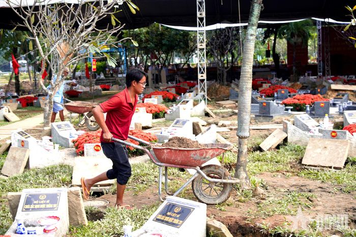 Những xe cát được cẩn thận đổ lót trực tiếp xuống các huyệt mộ đã được nạo vét khô ráo. 