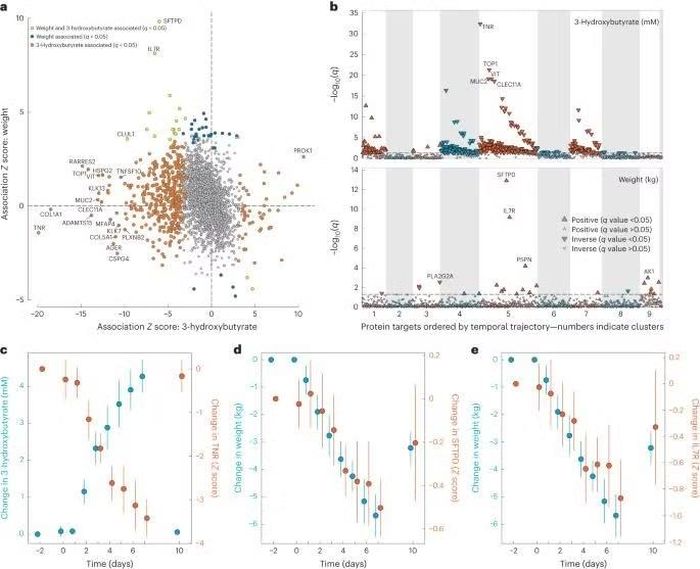 Hàng loạt các chỉ số được theo dõi trước, trong và sau thời gian 7 ngày nhịn ăn.