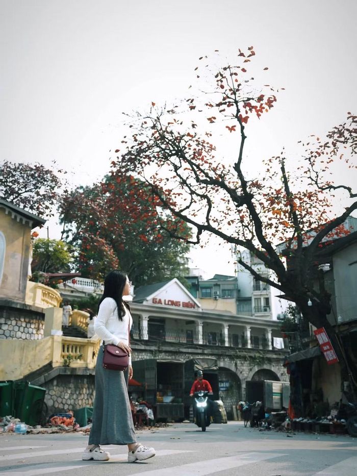 Khu phố cổ Hà Nội là lựa chọn lý tưởng dành cho những ai yêu vẻ đẹp xưa cũ. Những con phố nhỏ, những ngôi nhà mang dấu vết thời gian cùng nhịp sống bình dị tạo nên một không gian rất riêng. Dạo phố cổ vào những ngày thu se lạnh, thong thả ngắm phố phường và thưởng thức món ăn đường phố cũng là một trải nghiệm khó quên.