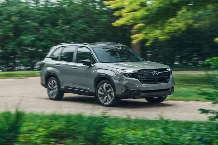 Theo tin đồn, Subaru Forester e-Boxer Hybrid nhập khẩu từ Nhật Bản về Việt Nam sẽ có giá lên đến 1,5 tỷ đồng. Nếu giá bán này là chính thức, Subaru Forester Hybrid sẽ cao hơn nhiều so với đối thủ trực tiếp là Honda CR-V e:HEV. Mẫu xe nhà Honda hiện có giá từ 1,17-1,25 tỷ đồng.