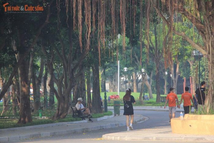 Dọc phố Thành Thái và trong công viên Cầu Giấy là những khoảng xanh đan xen giữa không gian đô thị. Một số khu vực dưới hàng cây được người dân tận dụng làm nơi nghỉ ngơi, tạo nên những khoảng không gian sinh hoạt gần gũi giữa khu dân cư đông đúc.