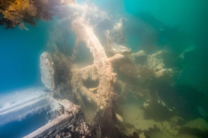 Ảnh: canadianmysteries.ca
