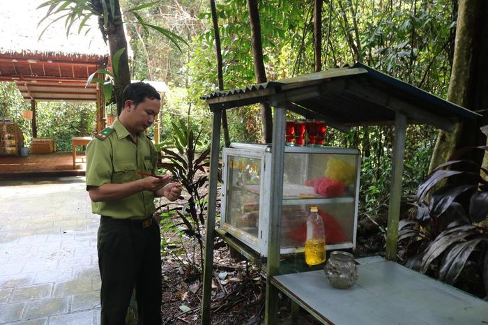 Ngày làm việc của cán bộ kiểm lâm Trạm Kiểm lâm Trung ương Cục miền Nam thường bắt đầu từ 5 giờ sáng bằng việc dọn vệ sinh khu di tích, lau bàn thờ, thắp hương tưởng niệm. Ảnh: Tiến Dũng.