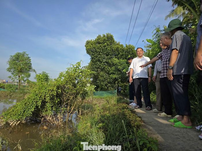 Ông Trần Chí Hùng - Phó Chủ tịch UBND TP. Cần Thơ, kiểm tra đê bao cồn Sơn, phường Bình Thủy.