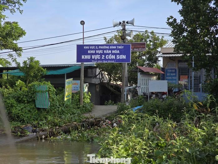 Ông Mai Hồng Sử - người dân cồn Sơn, cho biết, bà con mong muốn được chính quyền quan tâm, gia cố đê bao để an tâm sinh sống, sản xuất và làm du lịch.