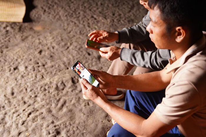 Anh Sính truy cập mạng, xem thông tin