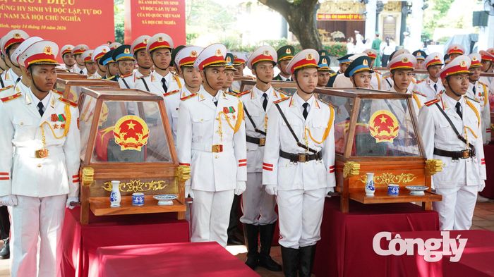 Lễ viếng, truy điệu và an táng 731 hài cốt liệt sĩ là hoạt động thể hiện lòng biết ơn sâu sắc đối với những người đã hy sinh trong sự nghiệp đấu tranh giải phóng dân tộc, bảo vệ Tổ quốc. Đây cũng là dịp tri ân các gia đình đã sinh thành, nuôi dưỡng những người con anh dũng cống hiến cho đất nước.