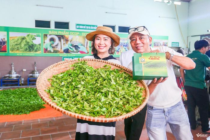 Du khách ghé thăm khu vực trồng và chế biến trà