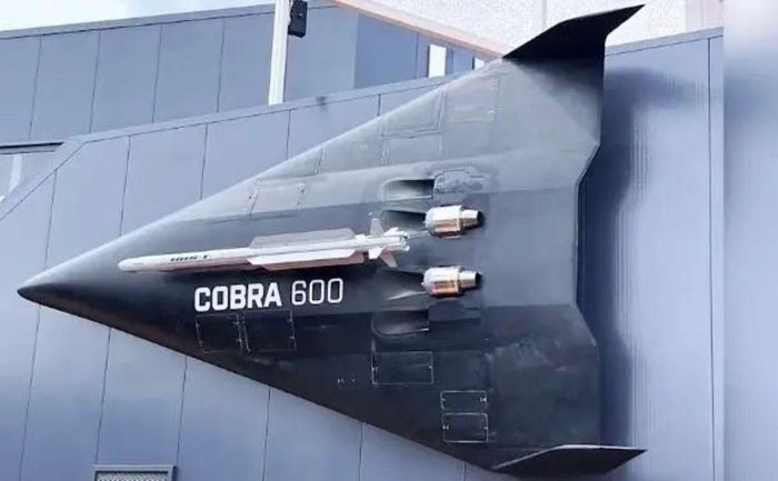 UAV Cobra 600. Ảnh: aviationnews.eu