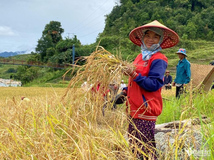Đồng bào Xơ Đăng ở xã Ngọc Linh chỉ làm 1 vụ lúa nước trong năm, bảo đảm nguồn lương thực chứ chưa có nguồn thu nhập từ việc bán lúa. Ảnh: Ngọc Chí