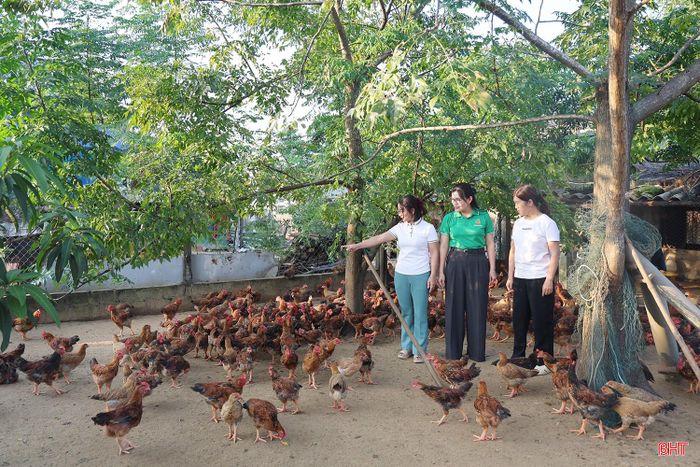 Trong quá trình phát triển nghề chăn nuôi gà, chính quyền địa phương và Hội Nông dân xã Yên Hòa luôn quan tâm, đồng hành, hỗ trợ người dân. Đặc biệt, được thành lập vào tháng 3/2026, Tổ hội Nông dân nghề nghiệp chăn nuôi gà Yên Hòa đã phát huy vai trò kết nối hội viên, tạo điều kiện để các hộ chăn nuôi gặp gỡ, trao đổi kinh nghiệm, hỗ trợ nhau trong quá trình sản xuất.