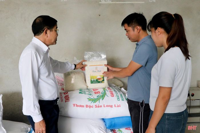Ông Nguyễn Hữu Hài – Chủ tịch Hội Nông dân xã Trường Lưu tìm hiểu hoạt động sản xuất tại HTX.