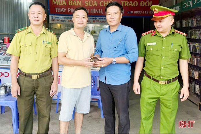 Anh Kiều Xuân Cường (áo vàng) giao nộp rùa cổ sọc cho lực lượng chức năng.