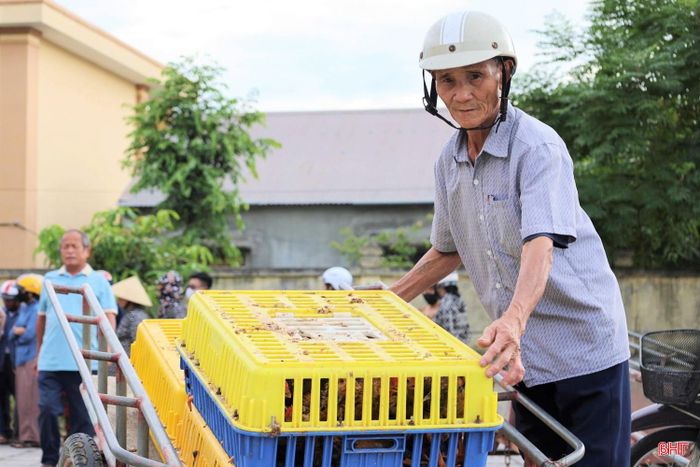 Người dân xã Đông Kinh nhận gà sinh kế để phát triển chăn nuôi.