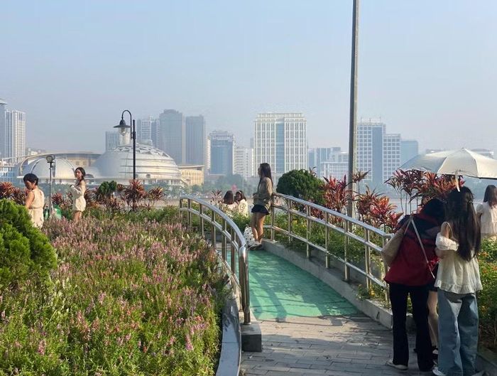 Các bạn trẻ tới từ rất sớm để check-in bên hồ An Hòa cùng những khóm hoa ngũ sắc, violet. (Ảnh: Thanh Nga/Vietnam+)