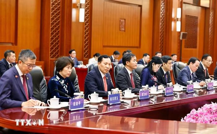 Đoàn đại biểu Việt Nam dự hội đàm. (Ảnh: Doãn Tấn/TTXVN)