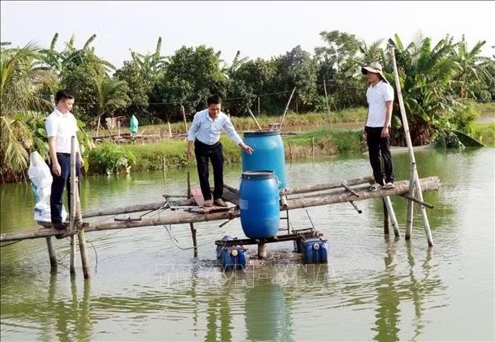 Cán bộ, người dân tham quan mô hình nuôi cá trạch của gia đình đảng viên Vũ Đức Lập, thôn Nam Ngoại, xã Quang Hưng (Ninh Bình).