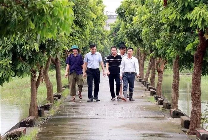 Phát huy vai trò lãnh đạo, Chi bộ thôn An Nông, xã Nam Minh (Ninh Bình) góp phần xây dựng diện mạo nông thôn mới khang trang, xanh, sạch, đẹp.
