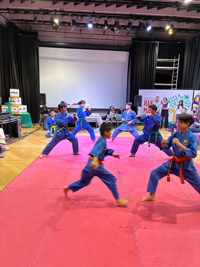 Các em nhỏ biểu diễn võ thuật Vovinam. Ảnh : BTC