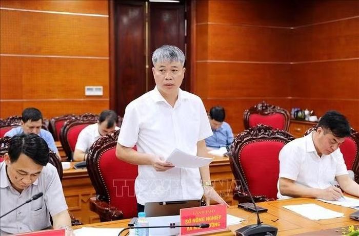 Đại diện Sở Nông nghiệp và Môi trường tỉnh Phú Thọ phát biểu tại Hội nghị.