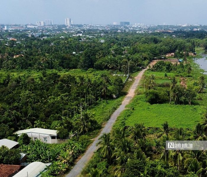 Theo Ban Giao thông (chủ đầu tư), trên toàn tuyến hạ tầng kết nối chung bao gồm cả ba phường (Lái Thiêu, Bình Hòa, Thuận An), hội đồng bồi thường phụ trách hơn 550 hồ sơ. Đến nay, phương án áp giá bồi thường chi tiết đã được phê duyệt và thông qua cho phần lớn các đợt áp giá. Tiến độ bồi thường, giải phóng mặt bằng đang được chính quyền quyết liệt đẩy mạnh nhằm bàn giao mặt bằng sạch trước ngày 31/12/2026.