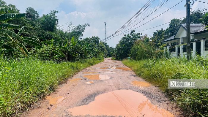 Những mét đất đầu tiên của đại lộ tương lai hiện vẫn mang dáng dấp của những lối đi nhỏ, nhiều đoạn bị chia cắt bởi nhà dân hoặc vườn cây ăn trái đặc sản của vùng đất ven sông.