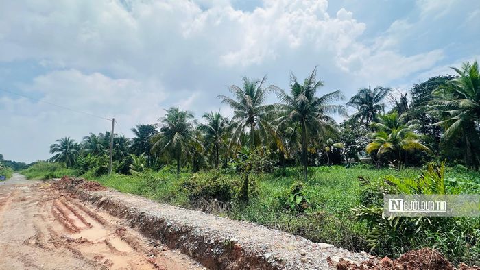 Trong khi đó, đoạn cuối tuyến thuộc khu vực cảng An Sơn (thuộc phường Thuận An) phần lớn là đất trống và vườn cây ăn trái lâu năm. Dòng sông Sài Gòn uốn lượn, ôm lấy dải đất xanh mát với mảng xanh lớn, xen kẻ nhiều công trình kiên cố áp sát mép nước.