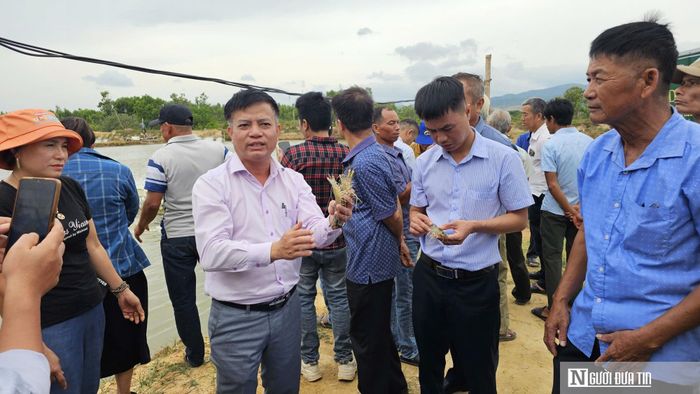 Nhiều hộ dân quan tâm, muốn nhân rộng mô hình