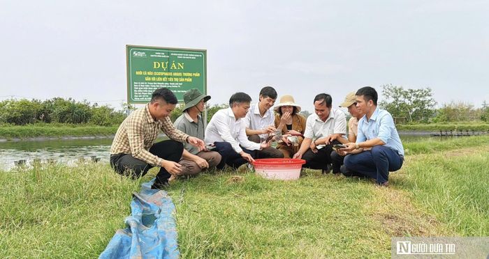 Bước đầu mô hình mới mang lại hiệu qảu kinh tế cao, ổn định