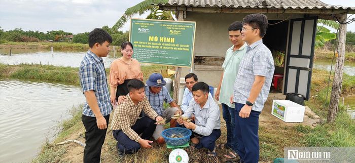 Áp dụng kỹ thuật khiến mô hình mới cho hiệu quả cao
