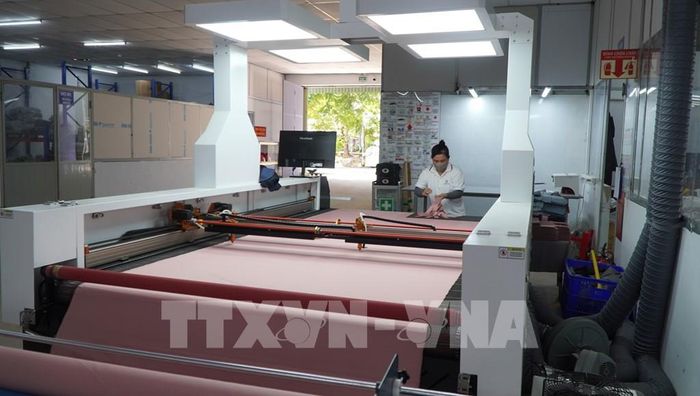 Được hỗ trợ về nguồn vốn từ Nhà nước, Công ty TNHH Xuất nhập khẩu Glovis (xã Vĩnh Bình, tỉnh Đồng Tháp) đầu tư thêm máy móc hiện đại, giúp tăng năng suất lao động. Ảnh: Nhựt An - TTXVN