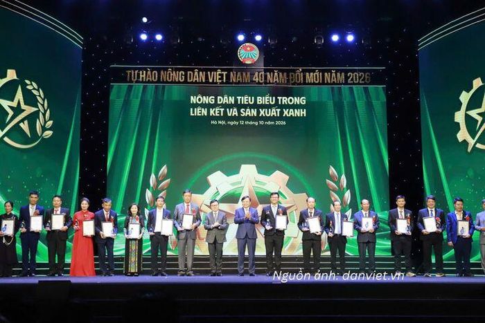 Vinh danh nông dân tiêu biểu trong liên kết và sản xuất xanh.