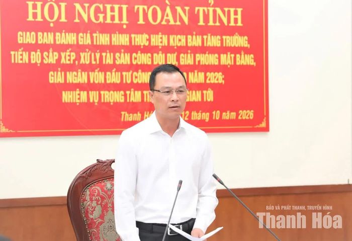 Chủ tịch UBND tỉnh Tô Anh Dũng phát biểu chỉ đạo tại hội nghị.