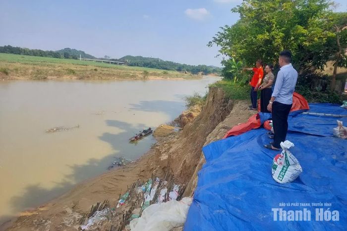 Tình trạng sạt lở bờ hữu sông Chu, đoạn qua xã Lam Sơn, đang đe dọa tính mạng, tài sản của người dân.