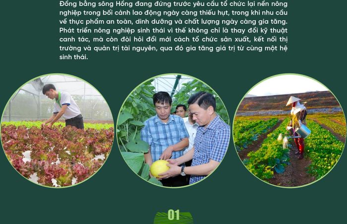 Theo ông, trước áp lực giảm lao động, đô thị hóa và nhu cầu thực phẩm an toàn, Đồng bằng sông Hồng cần chuyển đổi sang kinh tế nông nghiệp sinh thái như thế nào?