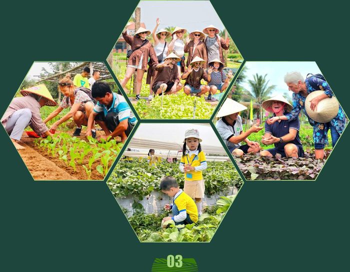 Để chuyển đổi nông nghiệp sinh thái, thích ứng với khan hiếm lao động và kết nối đô thị, theo ông, Đồng bằng sông Hồng cần những nhóm giải pháp nào?