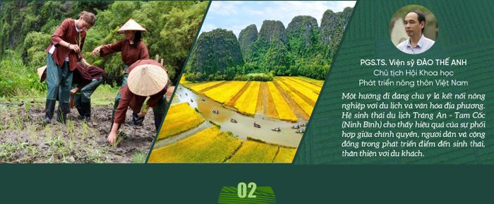 Xin ông cho biết khái niệm nông nghiệp sinh thái theo Liên hợp quốc và các nhóm nguyên tắc cốt lõi khi áp dụng mô hình này tại Việt Nam?