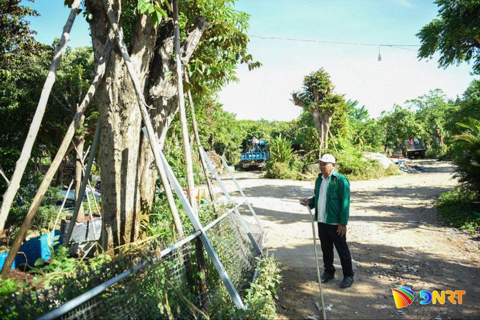 Ông Lê Văn Khoa chăm sóc cây cảnh. Ảnh: HOÀNG LIÊN
