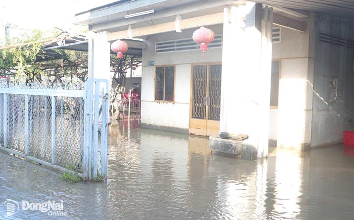 Triều cường trên sông Cái dâng cao, nước ngập tràn nhà dân tại khu phố Tân Mai, phường Tam Hiệp trong sáng ngày 11-10. Ảnh: Phạm Tùng