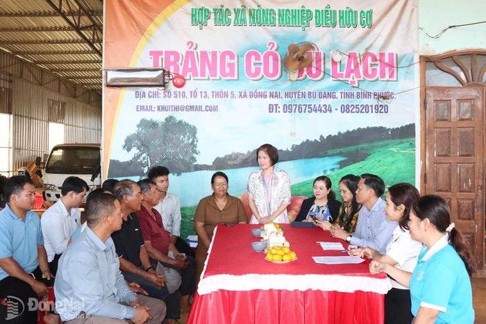 Bà Nguyễn Thị Hoài Linh, Phó Chủ tịch Liên minh Hợp tác xã Việt Nam phát biểu tại buổi làm việc. Ảnh: Quang Minh
