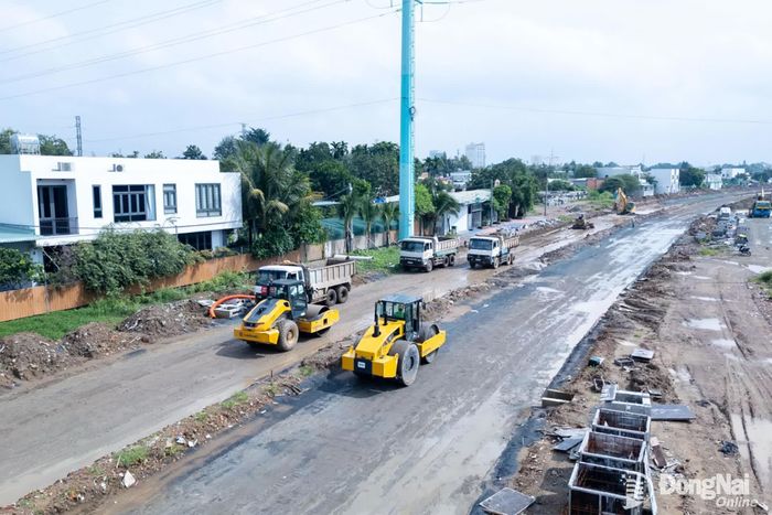 Máy móc, thiết bị và nhân lực được tăng cường trên toàn tuyến, tập trung vào 2 gói thầu số 27 và 28. Ảnh: Xuân Lượng
