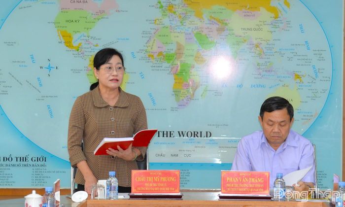Đồng chí Châu Thị Mỹ Phương, Phó Bí thư Tỉnh ủy, Trưởng Đoàn đại biểu Quốc hội tỉnh phát biểu tại hội nghị. 