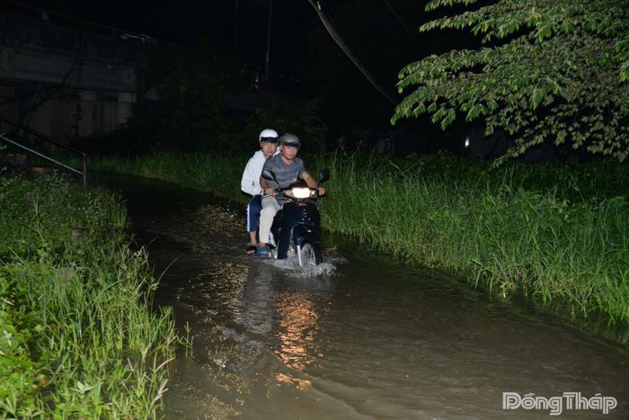 Triều cường gây ngập nhiều khu vực tại xã Phú Hựu.